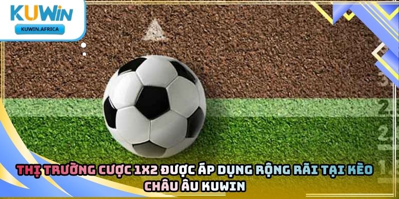 Kèo Châu Âu Kuwin – Tìm Hiểu Loại Kèo Cổ Điển